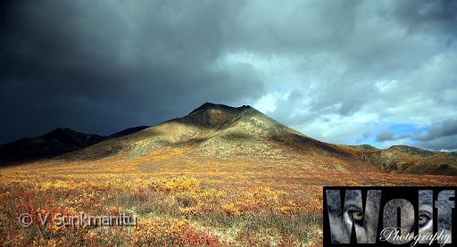 Yukon wilderness 001 Copyright Villayat Sunkmanitu.jpg